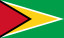 圭亚那合作共和国国旗