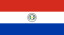 巴拉圭共和国国旗